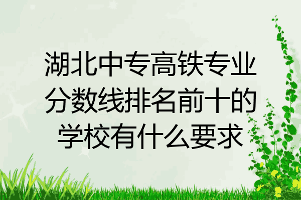 湖北中专高铁专业分数线排名前十的学校有什么要求