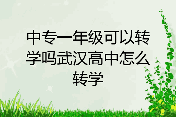 中专一年级可以转学吗武汉高中怎么转学