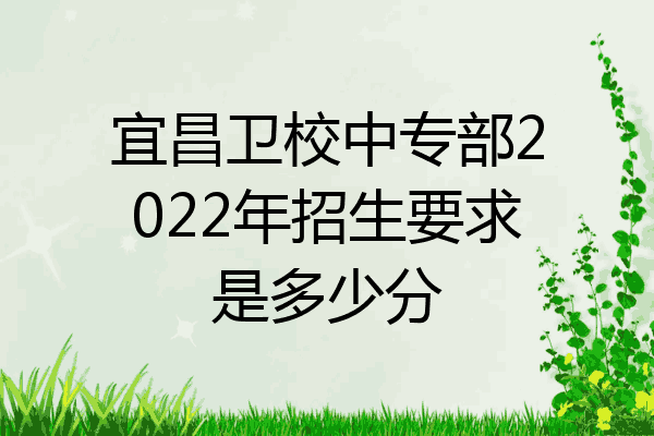 宜昌卫校中专部2022年招生要求是多少分