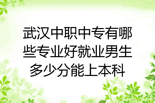 武汉中职中专有哪些专业好就业男生多少分能上本科