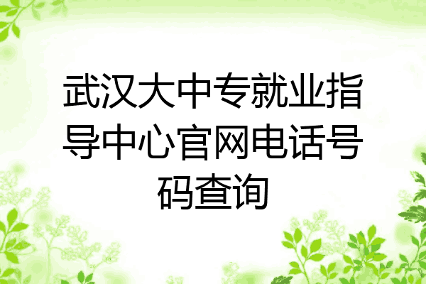 武汉大中专就业指导中心官网电话号码查询