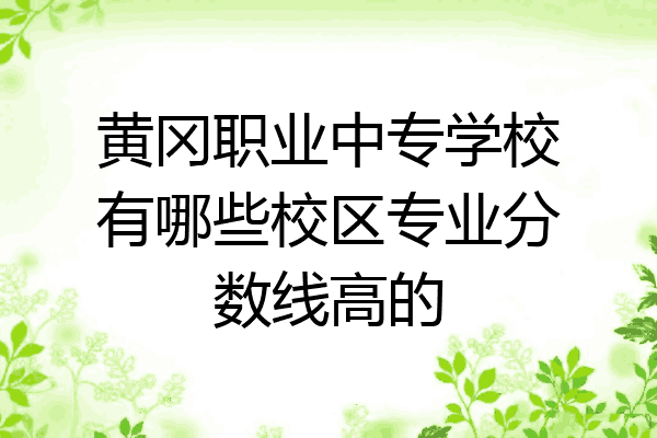 黄冈职业中专学校有哪些校区专业分数线高的