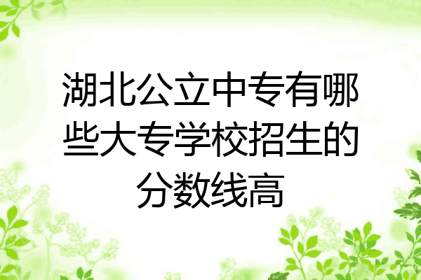 湖北公立中专有哪些大专学校招生的分数线高