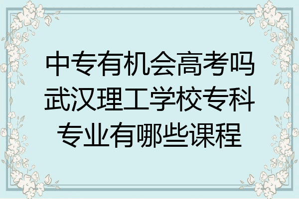 中专有机会高考吗武汉理工学校专科专业有哪些课程