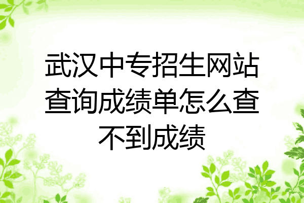 武汉中专招生网站查询成绩单怎么查不到成绩