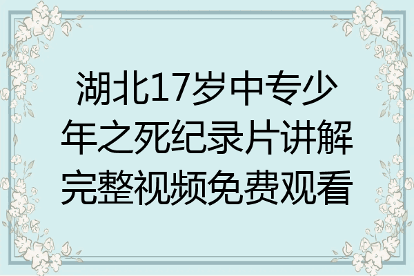 湖北17岁中专少年之死纪录片讲解完整视频免费观看