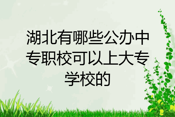 湖北有哪些公办中专职校可以上大专学校的