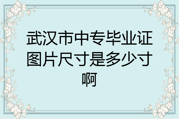 武汉市中专毕业证图片尺寸是多少寸啊