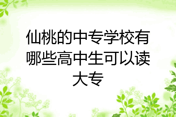 仙桃的中专学校有哪些高中生可以读大专