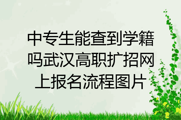 中专生能查到学籍吗武汉高职扩招网上报名流程图片