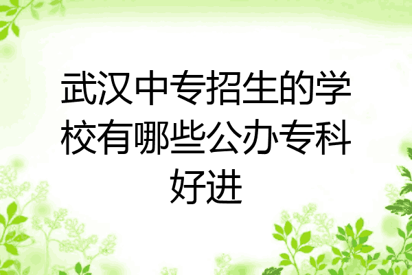 武汉中专招生的学校有哪些公办专科好进