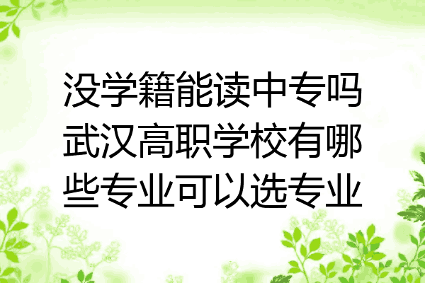 没学籍能读中专吗武汉高职学校有哪些专业可以选专业