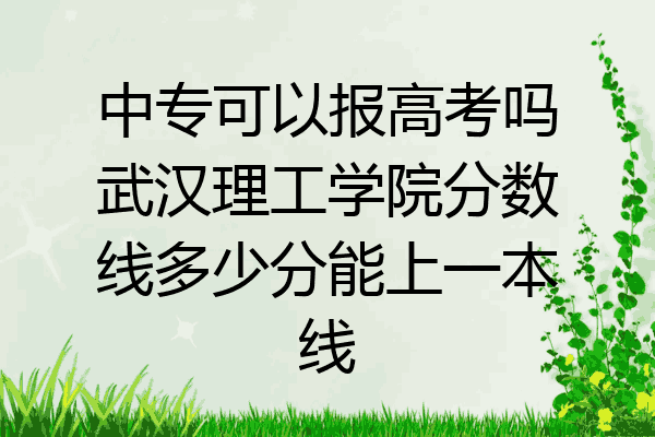 中专可以报高考吗武汉理工学院分数线多少分能上一本线