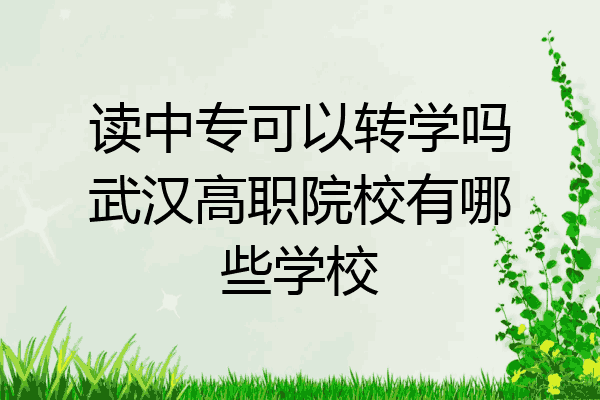 读中专可以转学吗武汉高职院校有哪些学校