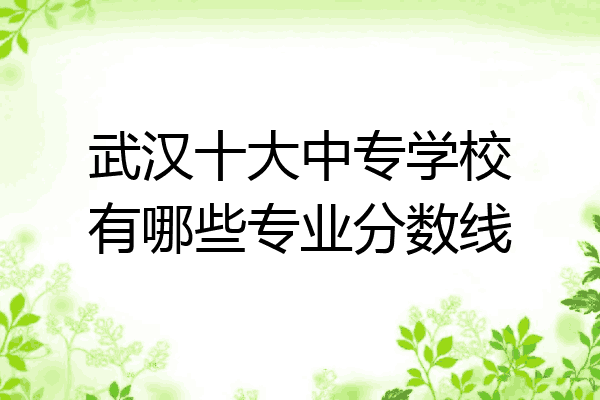 武汉十大中专学校有哪些专业分数线