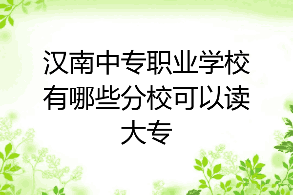 汉南中专职业学校有哪些分校可以读大专