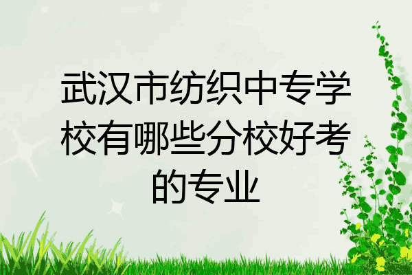 武汉市纺织中专学校有哪些分校好考的专业