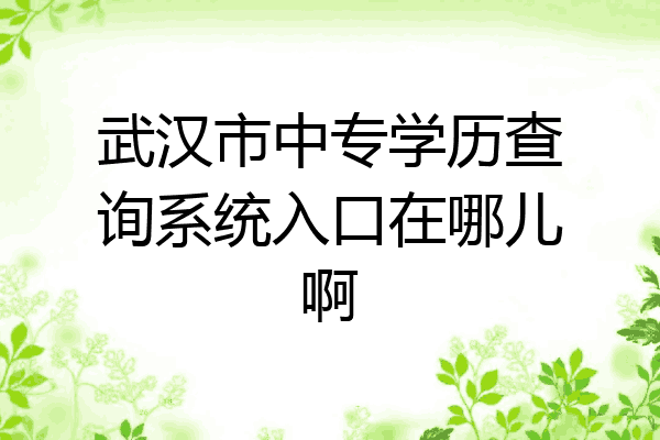 武汉市中专学历查询系统入口在哪儿啊