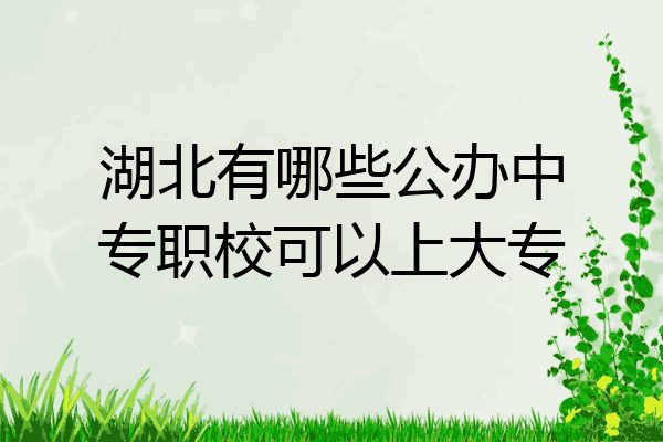 湖北有哪些公办中专职校可以上大专