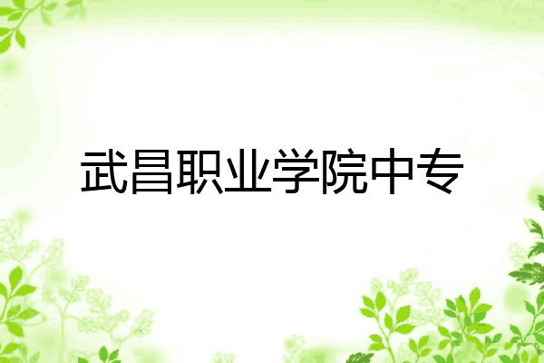 武昌职业学院中专