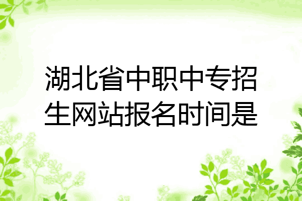 湖北省中职中专招生网站报名时间是