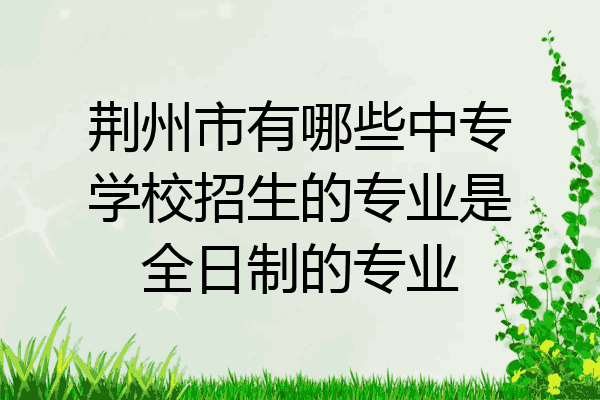 荆州市有哪些中专学校招生的专业是全日制的专业