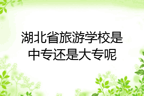 湖北省旅游学校是中专还是大专呢