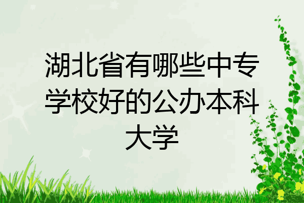 湖北省有哪些中专学校好的公办本科大学