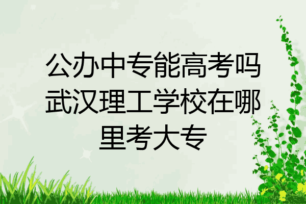 公办中专能高考吗武汉理工学校在哪里考大专