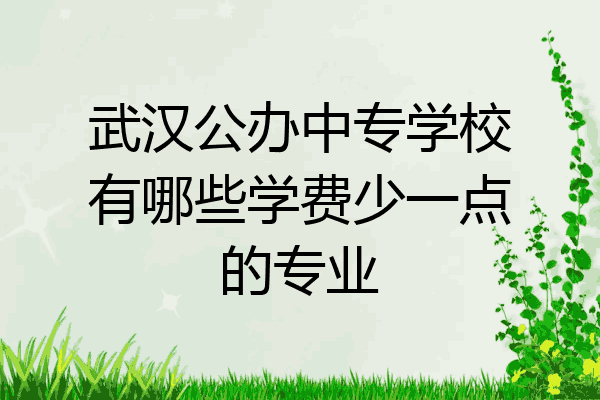 武汉公办中专学校有哪些学费少一点的专业