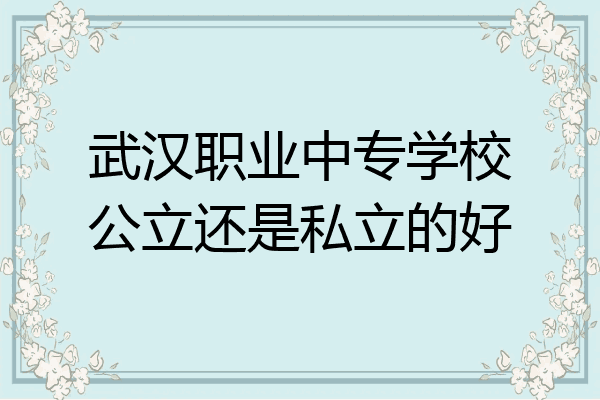 武汉职业中专学校公立还是私立的好