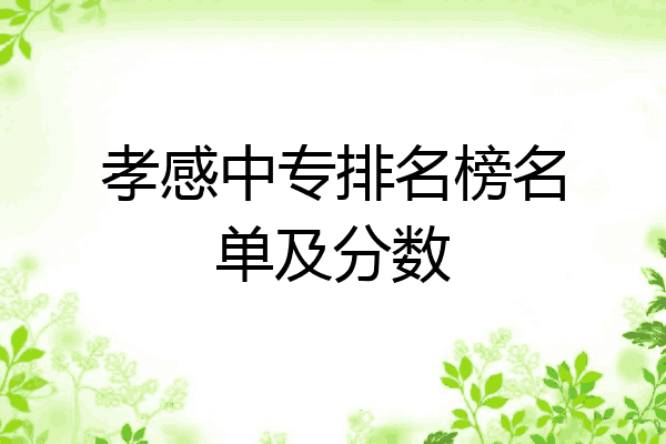 孝感中专排名榜名单及分数