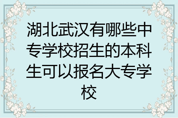 湖北武汉有哪些中专学校招生的本科生可以报名大专学校