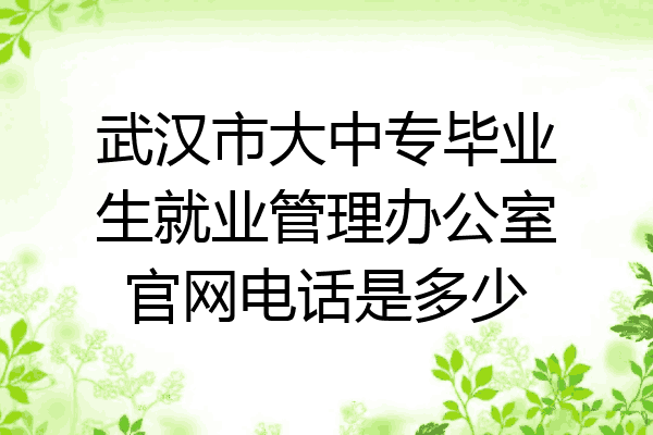 武汉市大中专毕业生就业管理办公室官网电话是多少