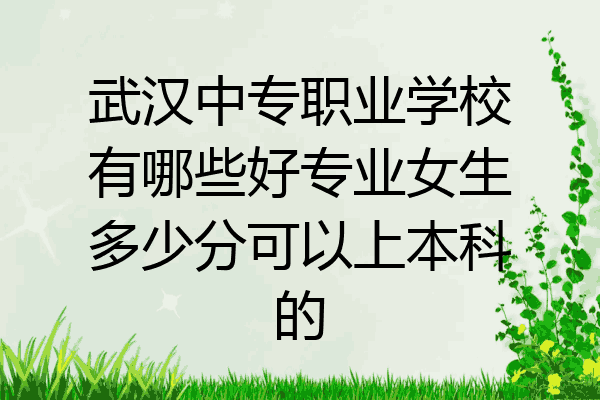 武汉中专职业学校有哪些好专业女生多少分可以上本科的