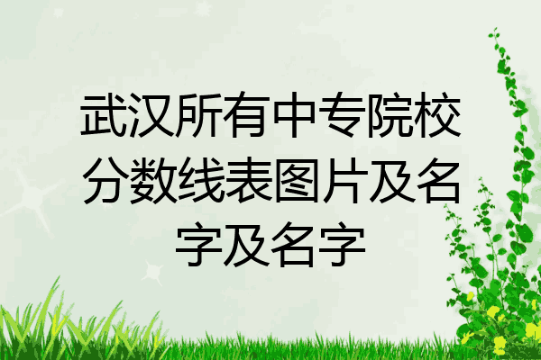 武汉所有中专院校分数线表图片及名字及名字
