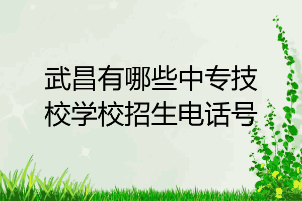 武昌有哪些中专技校学校招生电话号