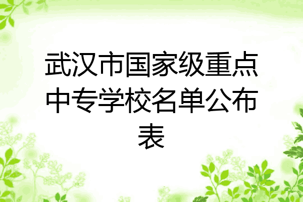 武汉市国家级重点中专学校名单公布表