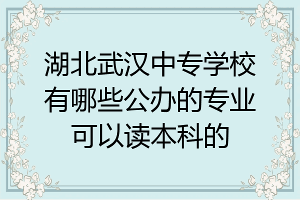 湖北武汉中专学校有哪些公办的专业可以读本科的