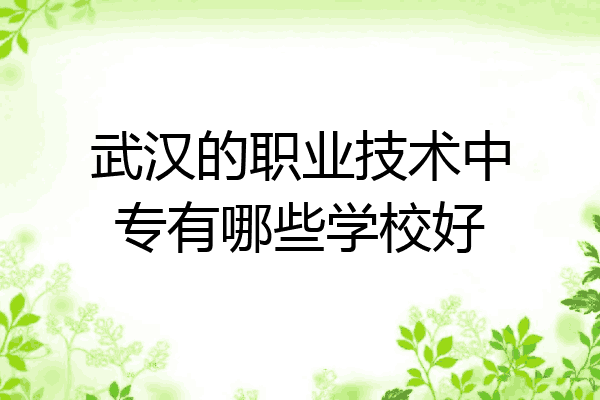 武汉的职业技术中专有哪些学校好