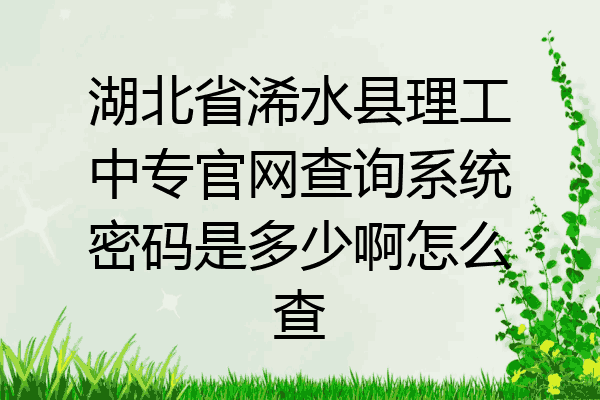 湖北省浠水县理工中专官网查询系统密码是多少啊怎么查