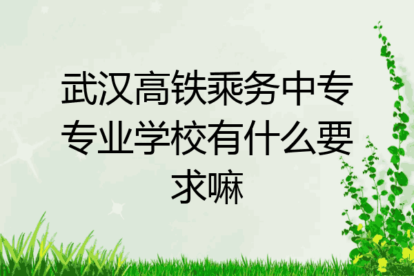 武汉高铁乘务中专专业学校有什么要求嘛
