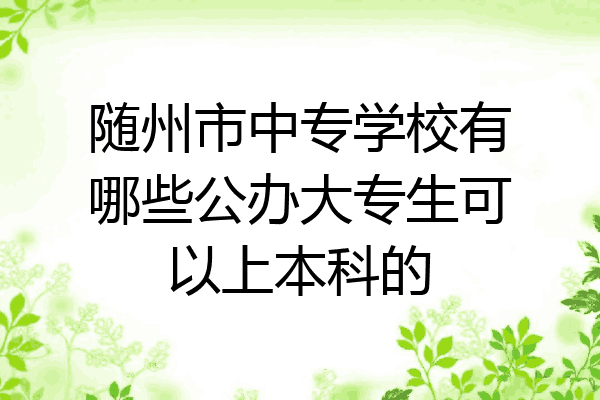 随州市中专学校有哪些公办大专生可以上本科的