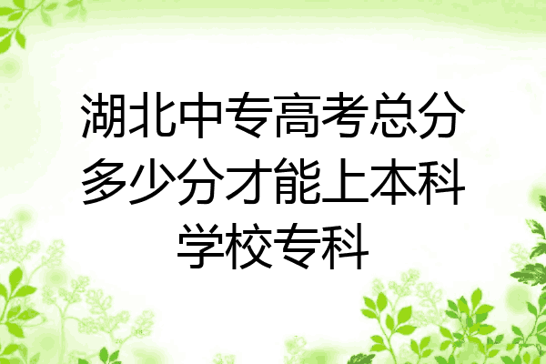 湖北中专高考总分多少分才能上本科学校专科