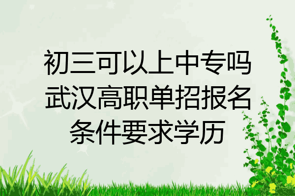初三可以上中专吗武汉高职单招报名条件要求学历