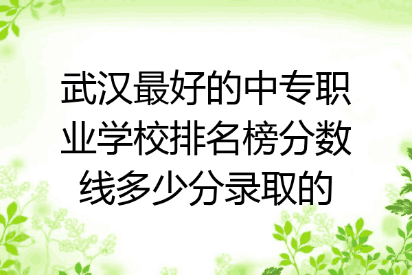 武汉最好的中专职业学校排名榜分数线多少分录取的