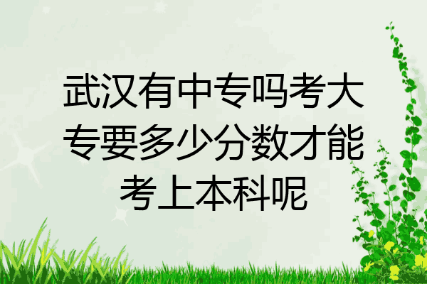 武汉有中专吗考大专要多少分数才能考上本科呢