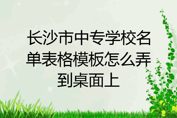 长沙市中专学校名单表格模板怎么弄到桌面上