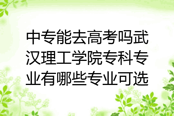 中专能去高考吗武汉理工学院专科专业有哪些专业可选