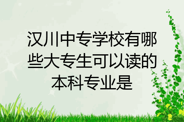 汉川中专学校有哪些大专生可以读的本科专业是